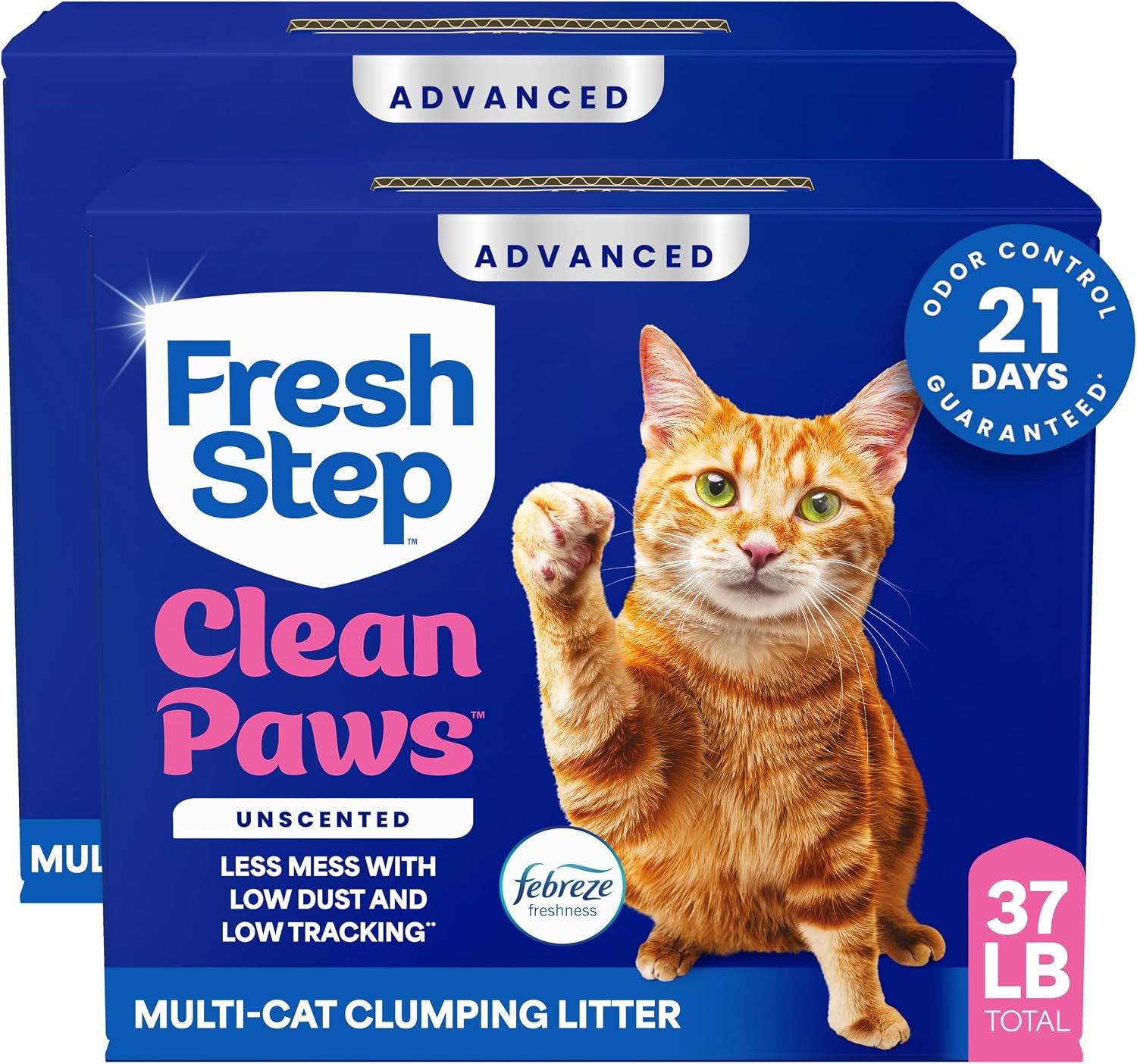 Cat Litter